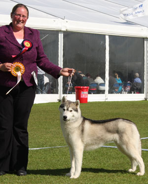Mrs P Taylor & Miss H Taylor Ch Siberiaskye Brite Borealis Of Pelenrise JW Sh.CM