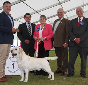 Mr J P & Mr R Stafford Sh Ch Farnfield Topo Gigio (ai) JW Sh.CM with group judge Mrs J M Miller, Mr B Ford (Secretary) & Mr W Browne-Cole (Chairman) 