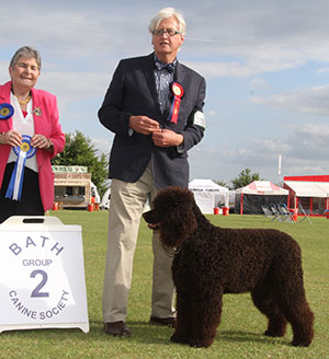 Mr M L Ford Sh Ch Cuboglach Petite Wave with group judge Mrs J M Miller