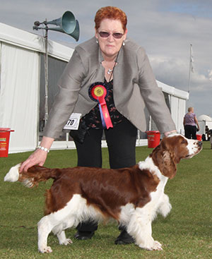 Mr A Morgan & Mr D Schofield Sh Ch Ferndel Butterkist Cwsscwn JW
