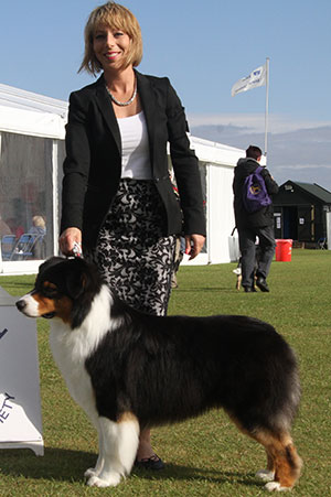 Miss M Spavin Ch & Croat Jun Ch Hearthside Man Of Mystery At Dia