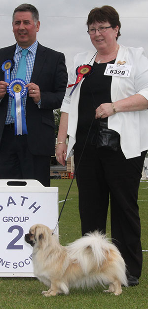 Mr G & Mrs M Quest Chenrezi Troublemaker JW Sh.CM with group judge Mr J Horswell