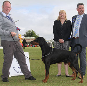Mr R Downie & Mr & Mrs R L Downie Glass Knecht Marek with group judge Mr J Horswell