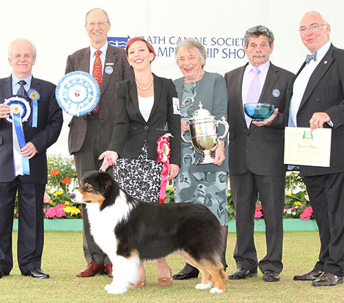 Miss M Spavin Ch & Croat Jun Ch Hearthside Man Of Mystery At Dia with BIS judge Mr S W Hall, Mr B Ford (Secretary) & Mr C J Laurence (President) 