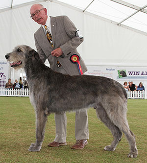 Miss S A Surrell & Miss K Coleman Bokra Amnesty 