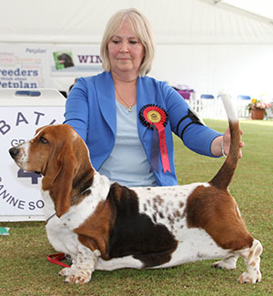 Mrs D J Newman Ch Woferlow Tinker Bell
