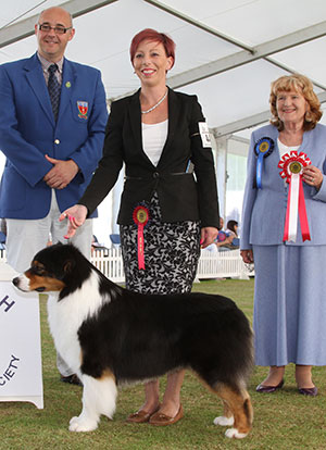 Miss M Spavin Ch & Croat Jun Ch Hearthside Man Of Mystery At Dia with group judge Mrs S J Garner & Mr J Barney (Committee)