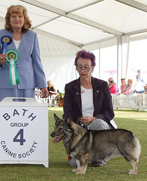 Mrs V J Allsop Ch Eldahastens Bobbo Viking (Imp) Sh.CM with group judge Mrs S J Garner 