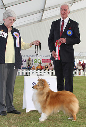 Mr & Mrs B Roberts Malaroc Mystery Writer with puppy group judge Mr S J Mallard