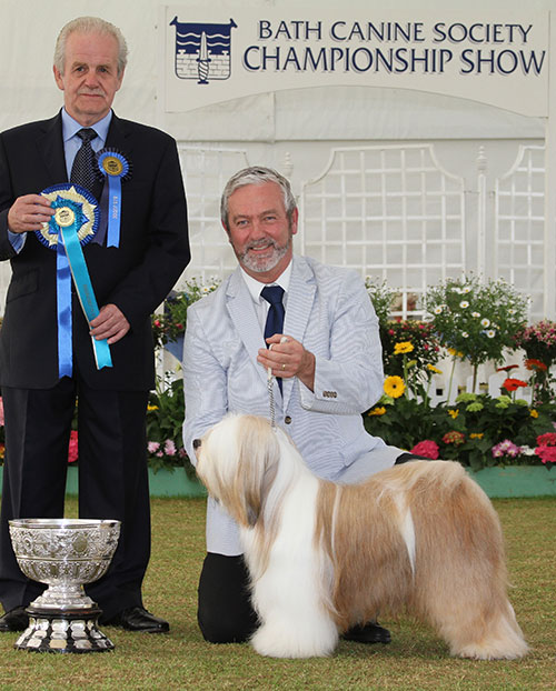 Mr M S Smith & Ms J Hadlington Ch Tetsimi Moves Like Jagger with BIS judge Mr S W Hall 