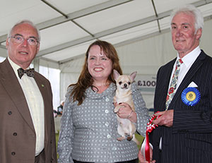 Mrs C A Davies Dachida's Johnnie Hot Rocks with puppy group judge Mr S J Mallard & Mr W Browne-Cole (Chairman)