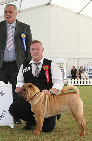 Mr & Mrs A D & H K Morris Ch Ashowai Taste Of Diamonds JW Sh.CM with group judge Mr K D Sinclair