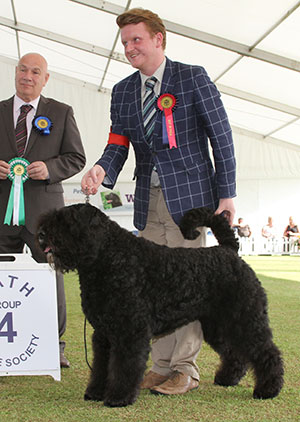 Mrs F Lambert Ch Liskport Lord Of The Rings (ai) with group judge Mr D Killilea 