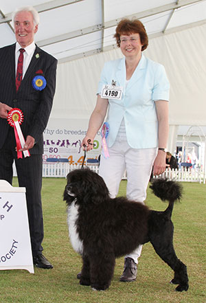 Mrs C Thompson-Morgan & Mr E Morgan Belleville Anjo Negro with puppy group judge Mr S J Mallard