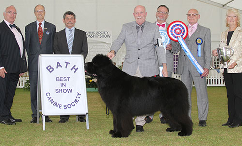 Mrs L ChapmanL & Mr T Chapman Ch Merrybear D'artagnan with BIS judge Mr B M Croft, Mr B Ford (Secretary), Mr W Browne-Cole (Chairman) & Mr C Laurence 