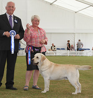 Ms S Lambert Ch Mattand Exodus JW with group judge Mr M J Howes