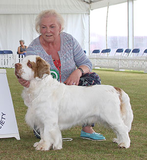 Mrs L J Thorogood Sh Ch Winhampton Over The Yardarm Of Harrifield JW