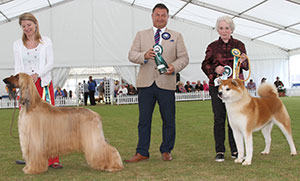 Best & Reserve Veteran on the day with veteran group judge Mr P Harding 