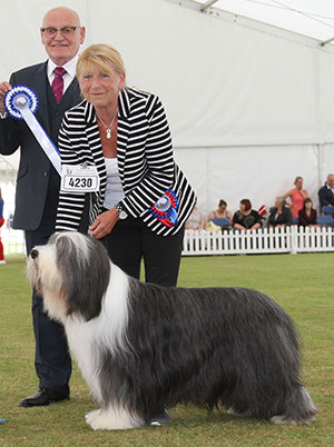 Mr M J & Mrs J Lewis Ch Potterdale Platinum Plus with group judge Mr B M Croft