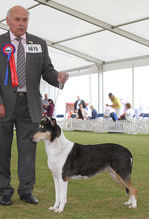 Mr T & Mrs B Hayward Multi Ch Clingstone's Hot Shot At Foxearth (Imp)