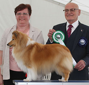 Mrs J A Stockden Willowgarth Gentle Breeze JW with group judge Mr B M Croft 