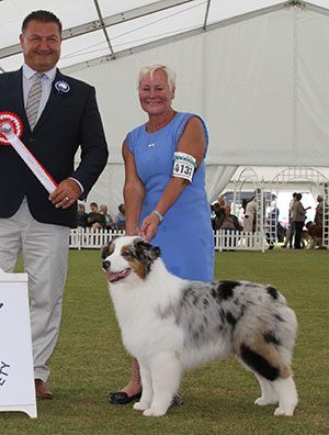 Mr N & Mrs A Allan Allmark The Sequel TAF with puppy group judge Mr P Harding