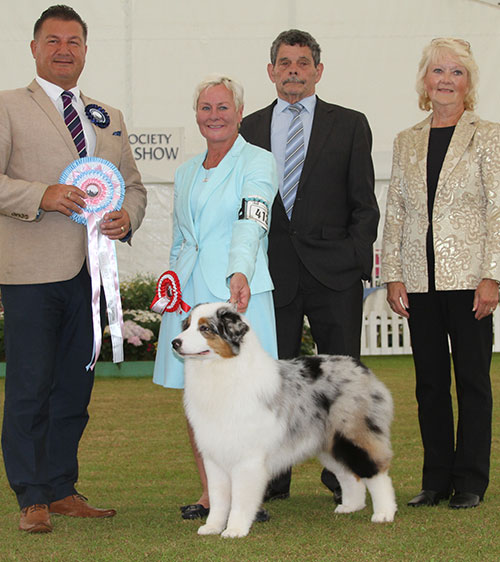 Mr N & Mrs A Allan Allmark The Sequel TAF with BPIS judge Mr P Harding, Mr B Ford (Secretary) & Mrs L Salt 