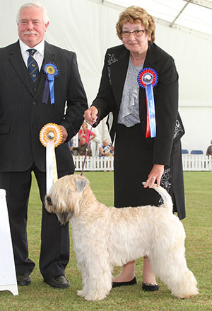 Mr & Mrs P & J Clarke Flaxela Weaver Of Dreams JW with group judge Mr C Powell