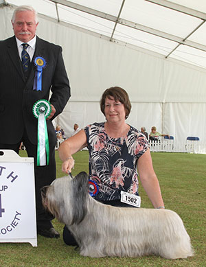 Mrs J Curtis Ch Brakemill Barnum Sh.CM with group judge Mr C Powell