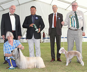 Best & Reserve Veteran on the day with veteran group judge Mr P Harding, Mr W Browne-Cole (Chairman) & Mr C Laurence (President) 