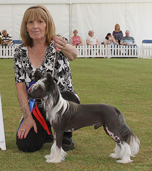 Mrs S Tatnell Proud Pony Mustang Of Spiritcrest (Imp)