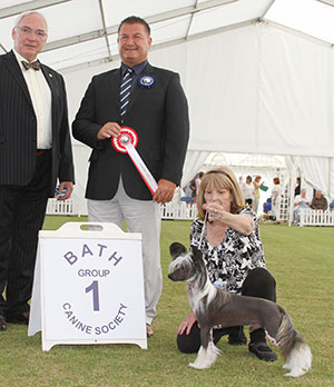 Mrs S Tatnell Proud Pony Mustang Of Spiritcrest (Imp) with puppy group judge Mr P Harding & Mr W Browne-Cole (Chairman) 