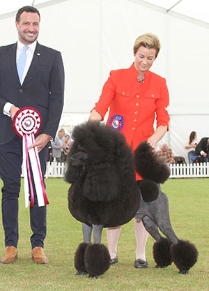 Miss C Sandell & Mr P Palmedal Multi Ch Huffish Rave The Rhythm with group judge Mr M Cocozza