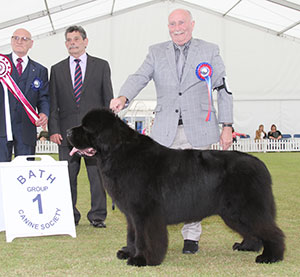 Mrs L ChapmanL & Mr T Chapman Ch Merrybear D'artagnan with group judge Mr B M Coft & Mr B Ford (Secretary)