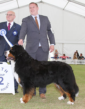 HARTMrs C Ley-Mair & Mr G Dybdall Ch Meadowpark High Class with group judge Mr B M Croft