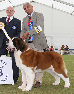 Miss A Grainger & Mr T Nagrecha Ch Chandlimore Sparks Will Fly Over Samhaven with group judge Mr B M Croft