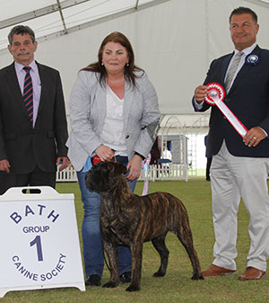 Miss L McGroarty Ardhub Black Don't Crack with puppy group judge Mr P Harding & Mr B Ford (Secretary)