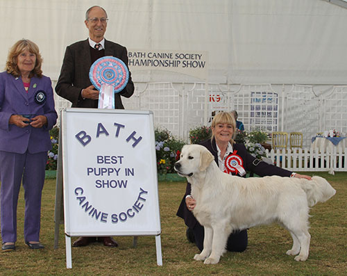 rs N V Vermander & Mrs T A Adam Quite Some Legend Of Sunshine's Valley with BPIS judge Mrs S Garner & Mr C J Laurence (President)