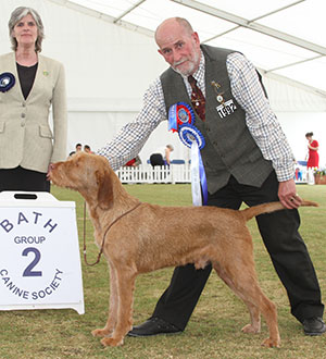 Mr P & Mrs L Upton Sh Ch Tragus Fox Appeal with group judge Mrs B A Johnson