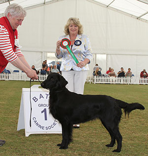 Mr D C & Mrs G M Simons Rainesgift Royal Mint I Coedylan with special beginners judge Mrs Lawless 