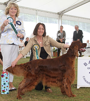 Mrs D Milligan-Bott & Mr J N Bott Sh Ch Thendara Pot Noodle JW with best veteran on the day judge Mrs Lawless