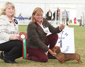 Mrs A & A J Bullis Goodtry Ruby Tuesday At Amaffrey with special beginner judge Mrs Lawless 