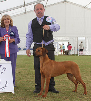 Mrs G & Mrs J Cunningham Walamadengie Coco Chanelle with puppy group judge Mrs S Garner 