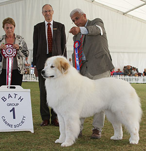 Nagrecha, Mattisson-Sandstrom & Sandstrom Ch Viskalys My Way Or No Way To Chandlimore (Imp with group judge Mrs J Peak & Mr C J Laurence (President)