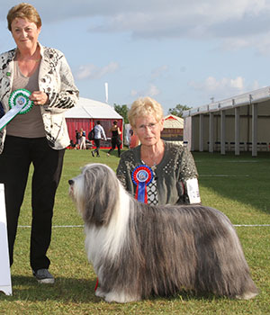 Mr & Mrs L & M Betts Pipadene Ultimate Dream JW with group judge Mrs J Peak