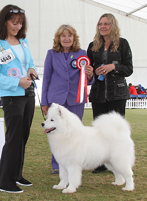 Kirkwood, Carruthers, Bobrowski, Harrold Rhadost Zhizni Shampagne Via Vandreem (Imp Rus) Na with puppy group judge Mrs S Garner