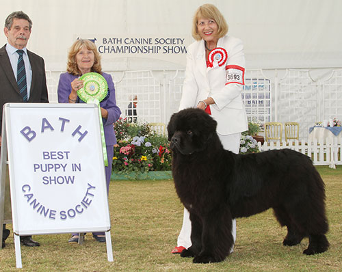 Mrs A P Springthorpe Millthorpe Mr Rochester with BPIS judge Mrs S Garner & Mr B Ford (Secretary)