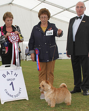 Mr M Oddie, Miss S Dyer & Mr D Nagrecha Ragus Scouts Honour with group judge Mrs J Peak & Mr W Browne-Cole (Chairman)