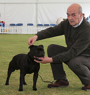 Mr M Higham Ch Callastaff Lakeland Lad