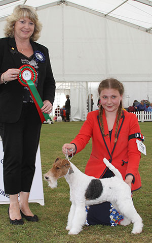 Miss K J Hampton & Miss P Wynter Jean De Cresecques Avec Furlongfox (Imp) Sh CM with special beginner judge Mrs Lawless